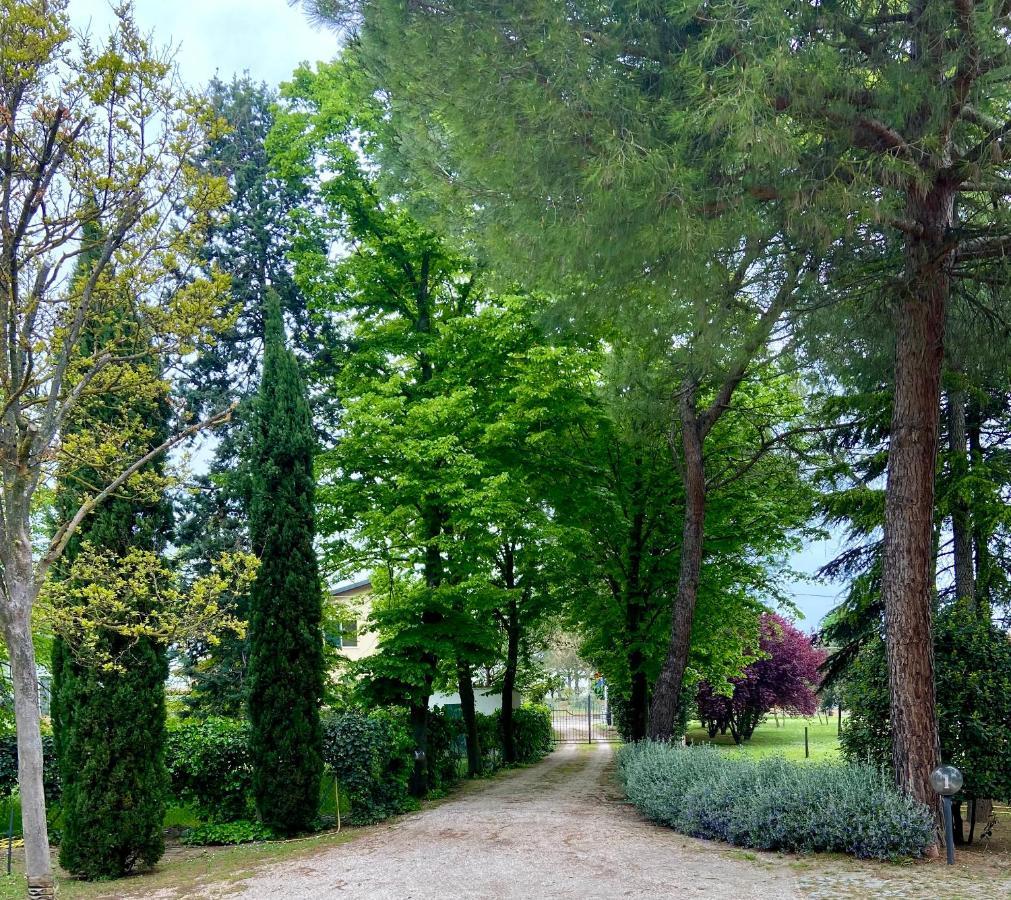 Casale Del Fattore Cesena Dış mekan fotoğraf